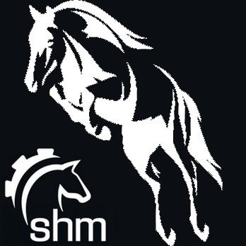 Logo par défaut droite